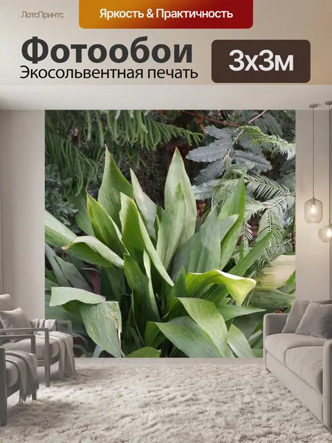 Фотообои листья, папоротник