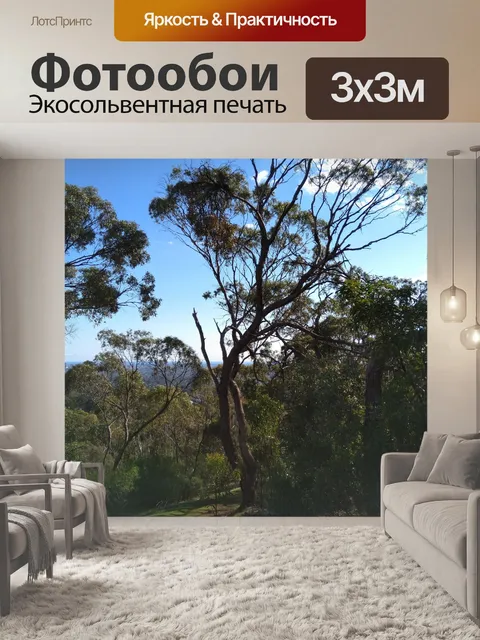 Фотообои деревья