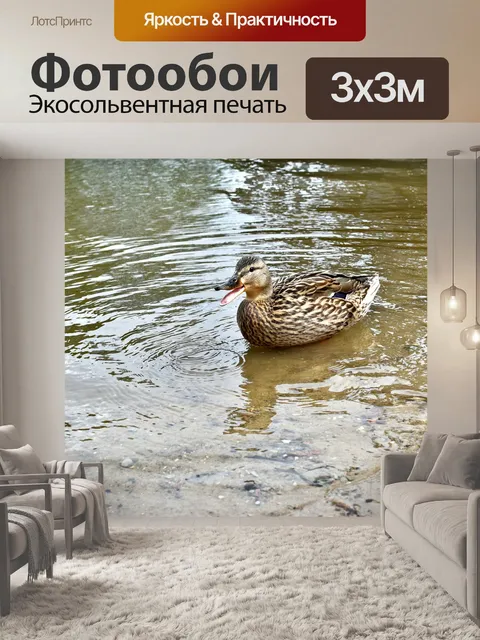Фотообои Животное