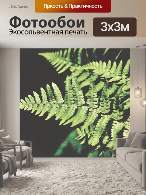 Фотообои Папоротник