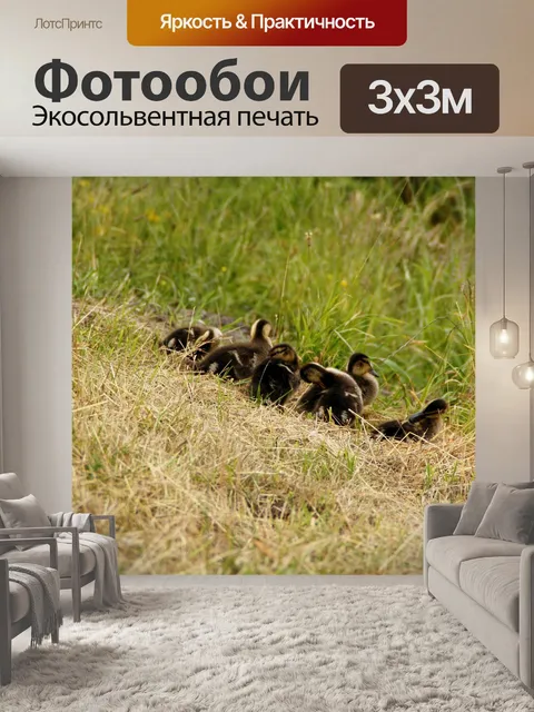 Фотообои Фон