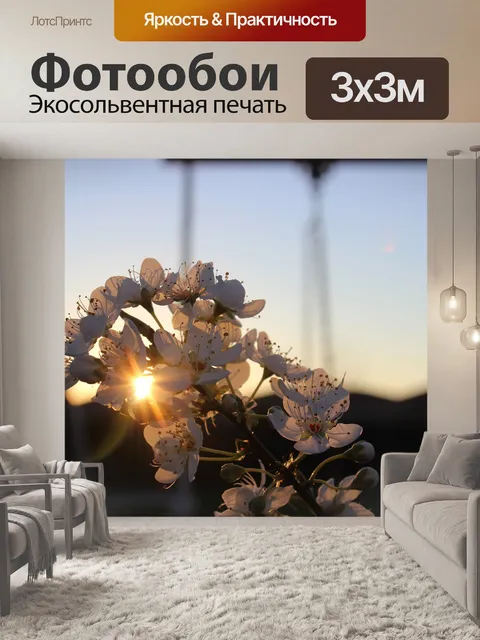 Фотообои Эстетический