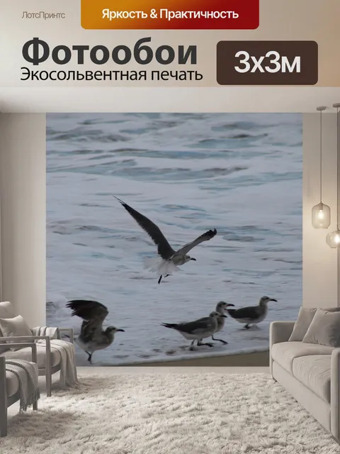 Фотообои Птица