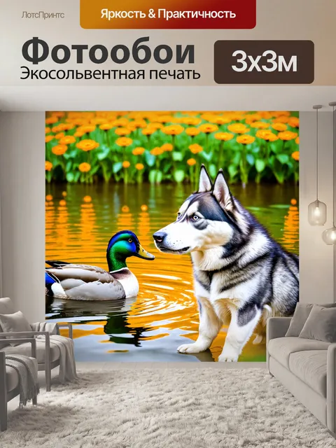 Фотообои хаска, наблюдающая за плаванием уток в озере, вокруг яркие цветы и зелень