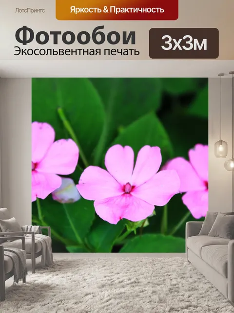 Фотообои Фиолетовые цветы 3