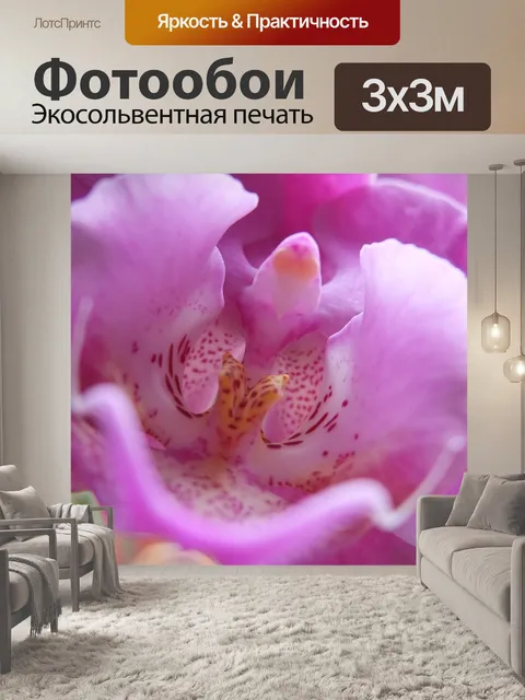 Фотообои Цветок