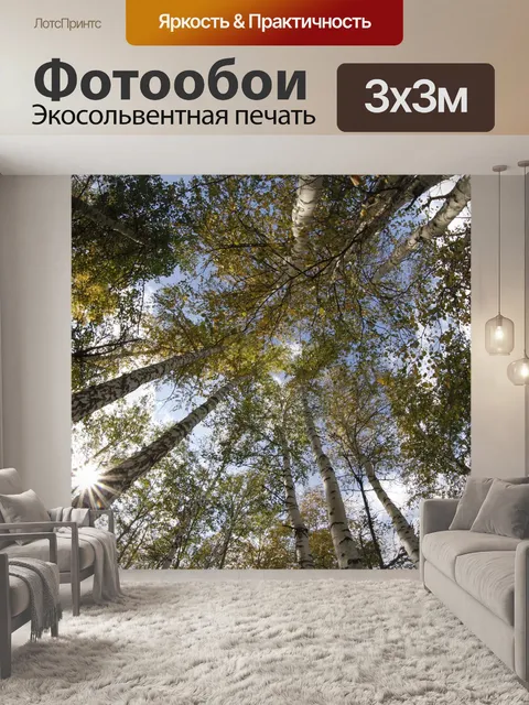 Фотообои Лес