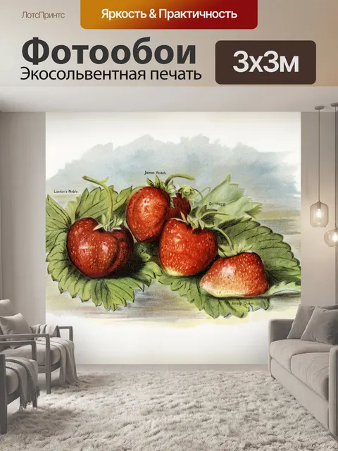 Фотообои Клубника фрукты винтаж искусство