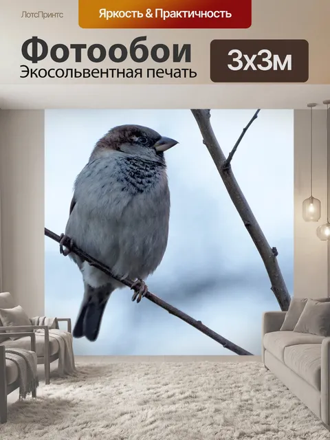 Фотообои Воробей