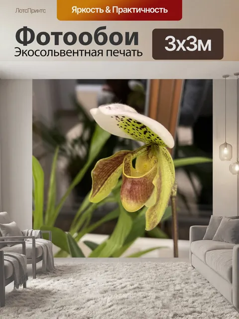 Фотообои Растения