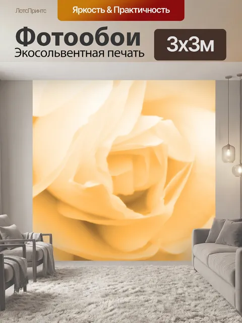 Фотообои Роза