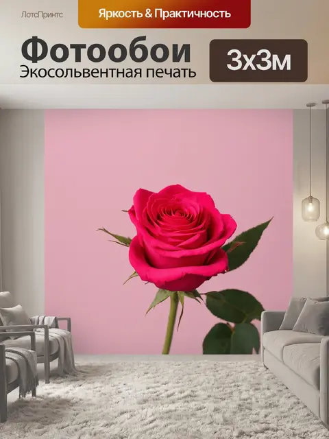 Фотообои розы в стиле минимализм