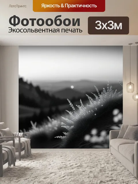 Фотообои пейзаж с закатом фото чернобелый