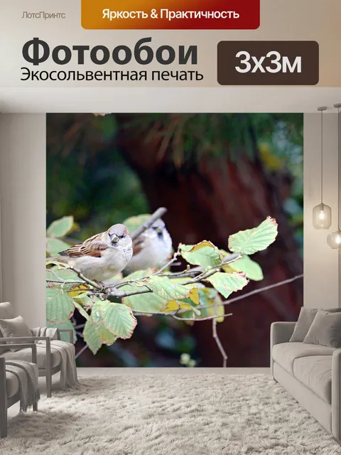Фотообои Птица