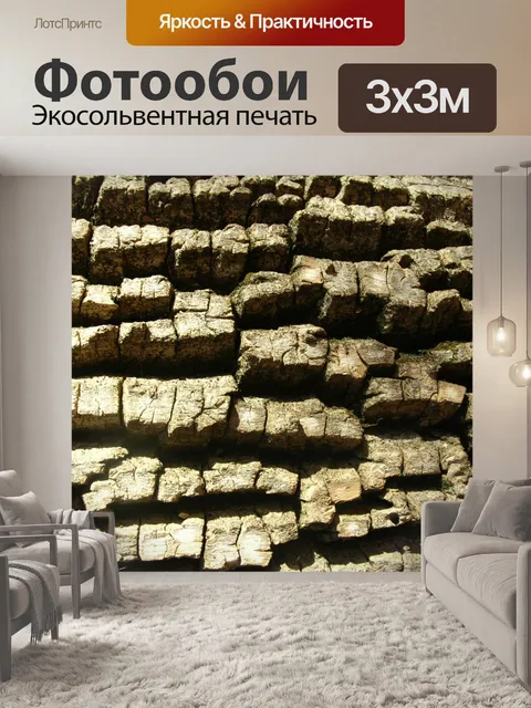 Фотообои Кора дерева естественной модели