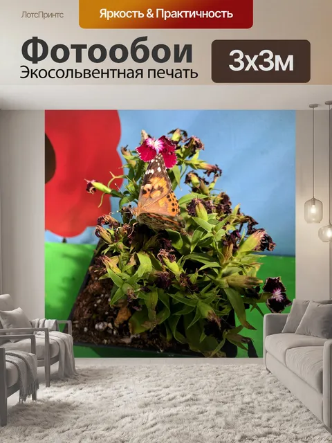 Фотообои Бабочка монарх