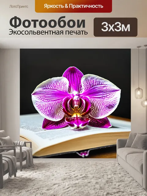 Фотообои орхидея, зарождающаяся внутри книги