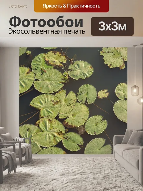 Фотообои Керала