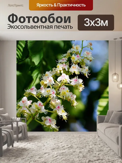 Фотообои Цветы