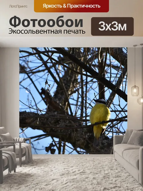 Фотообои Птица