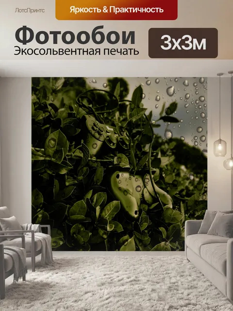 Фотообои Трава