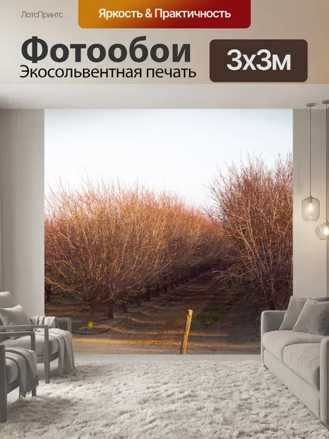 Фотообои Голые Орхидеи Дерева