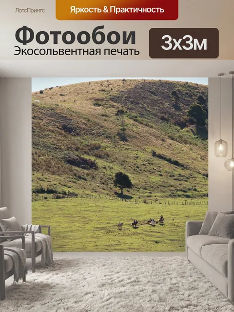 Фотообои Лошадь