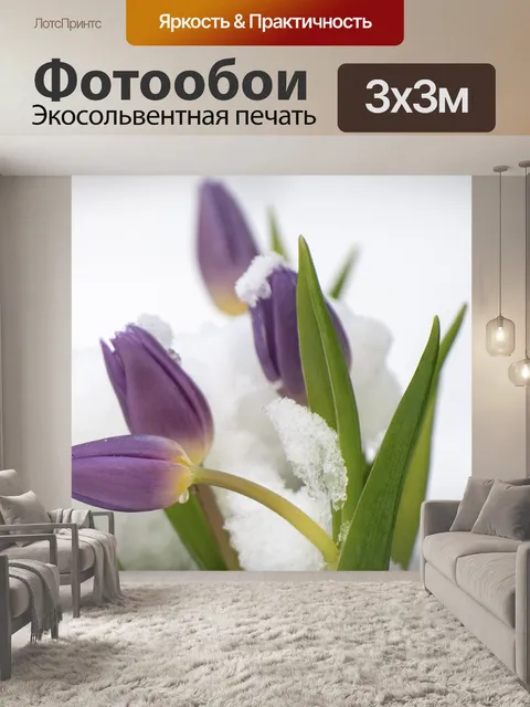 Фотообои Тюльпаны