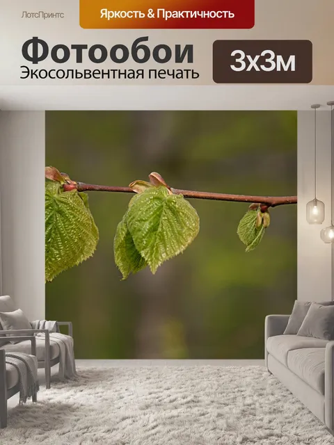 Фотообои Первые листья