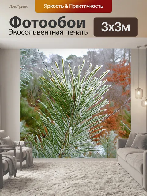 Фотообои Дерево