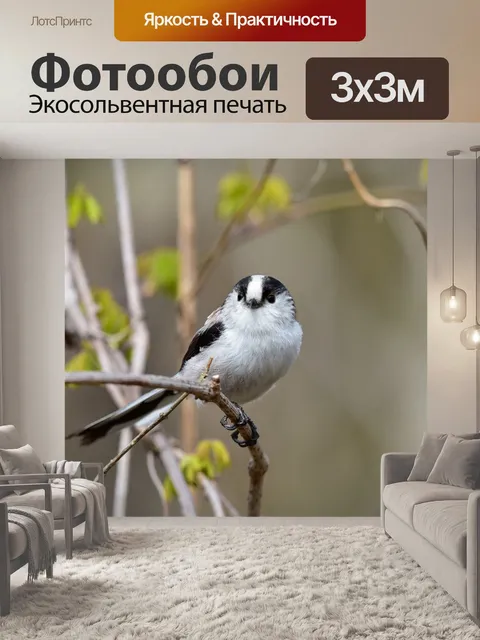 Фотообои Животное