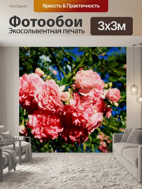 Фотообои Кластер из розовых роз