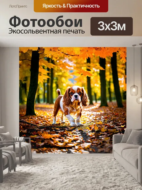 Фотообои изображение счастливого кавалера кинг чарльз спаниеля