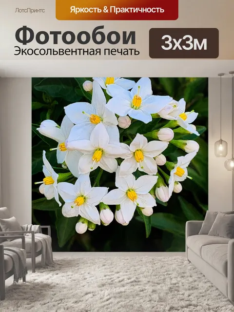 Фотообои Сад