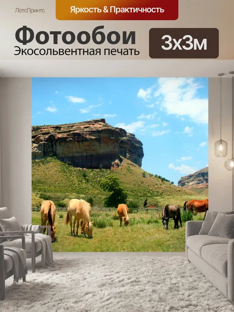 Фотообои лошади на лугу