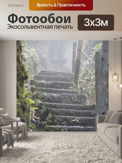 Фотообои Лестница на тропинке в тропическом лесу