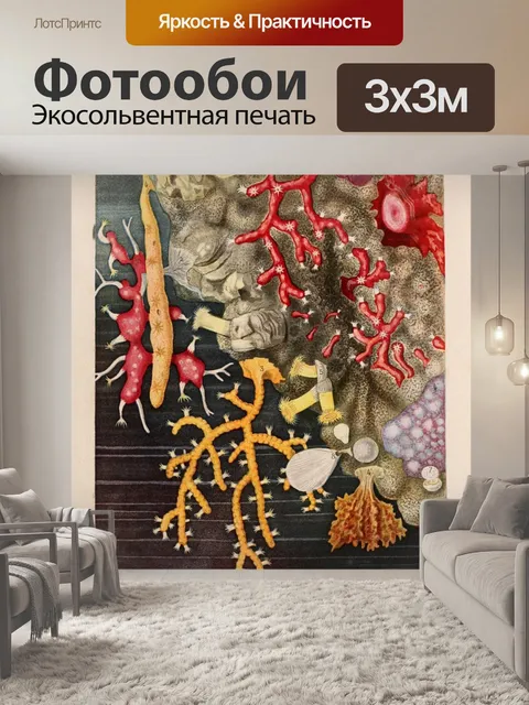 Фотообои Коралловое винтажное искусство старое