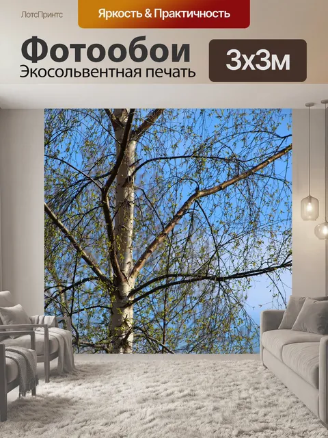 Фотообои Природа