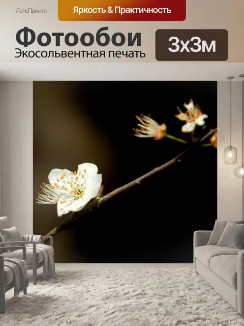 Фотообои Цветы