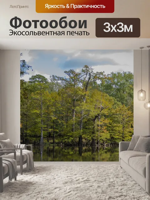Фотообои Лес
