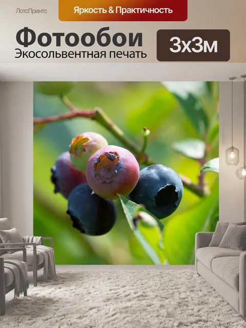 Фотообои Черника