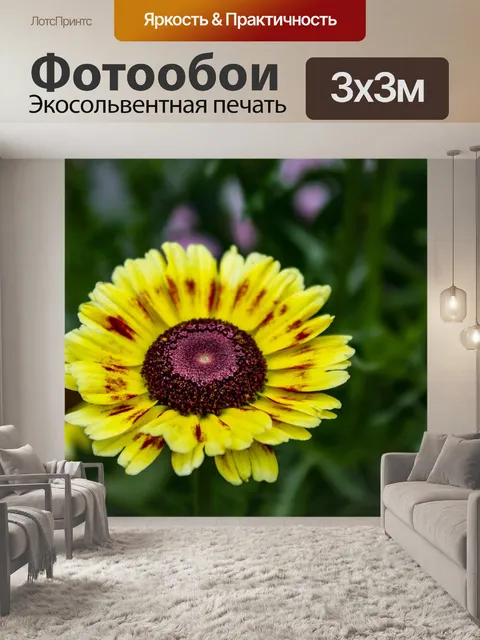 Фотообои Цветы