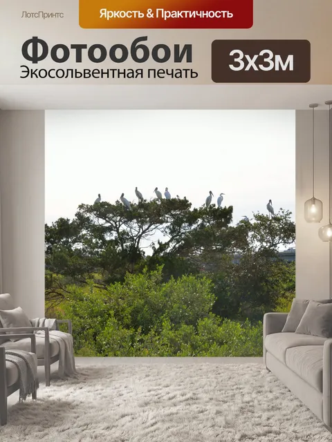 Фотообои Тропические птицы в дикой природе