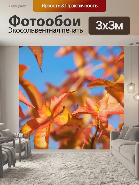 Фотообои Падение