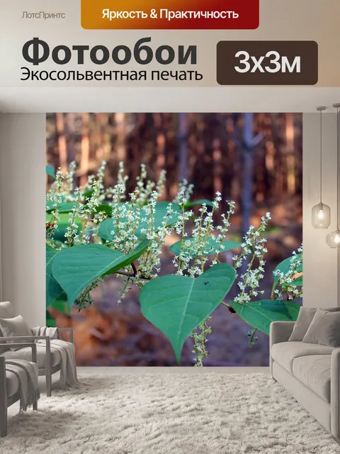 Фотообои Лесные растения