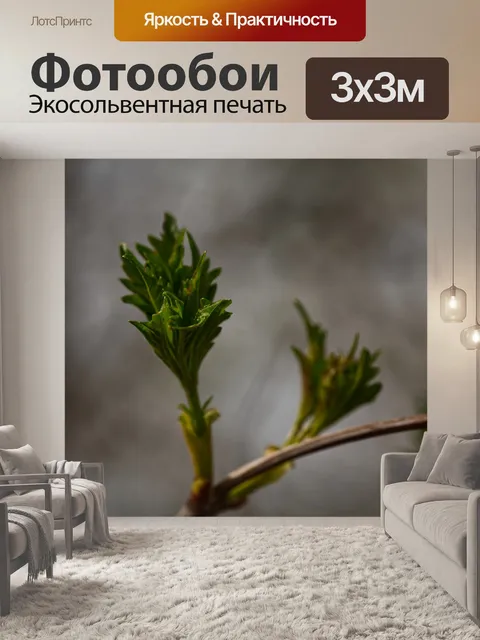 Фотообои Листья