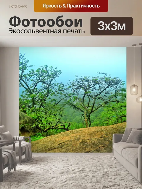 Фотообои муссонные леса
