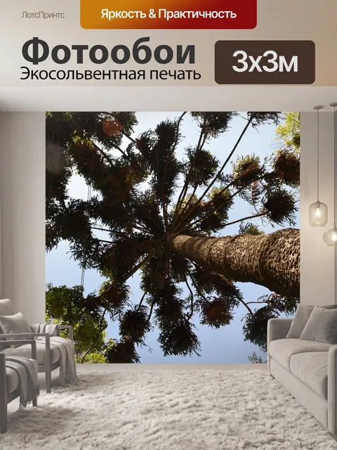 Фотообои Деревья