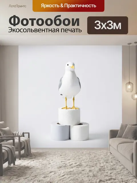 Фотообои Чайка на рулонах бумаги