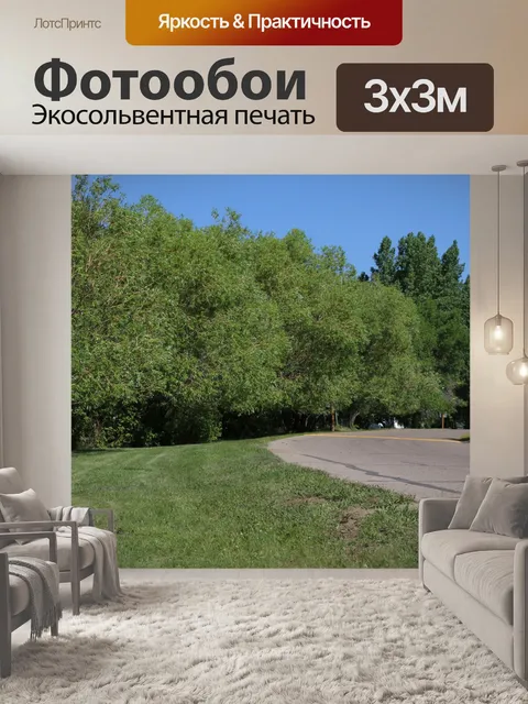 Фотообои Зеленые деревья Парк-роуд
